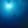 Into the Deep Blue